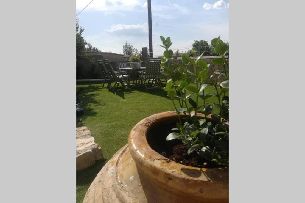 Elia Villa - Aegina, Souvala Luaran gambar